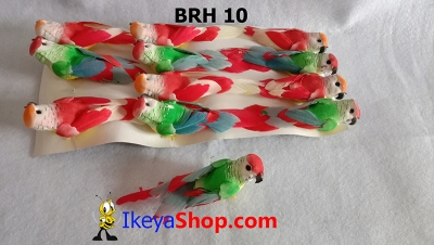 large2 BRH 10 b